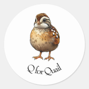 Adesivo Q para Quail