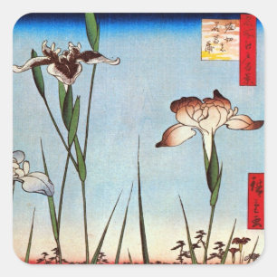 Adesivo Quadrado 江 戸 の 蒲, 広 重 Iris de Edo, Hiroshige