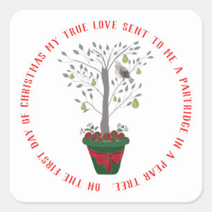 Adesivo Quadrado 12 dias da perdiz do Natal em uma árvore de pera