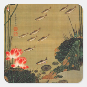 Adesivo Quadrado 17. 蓮池遊魚図, lagoa com Lotus, Jakuchū do 