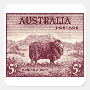 Adesivo Quadrado 1934 carneiros de Merino australianos