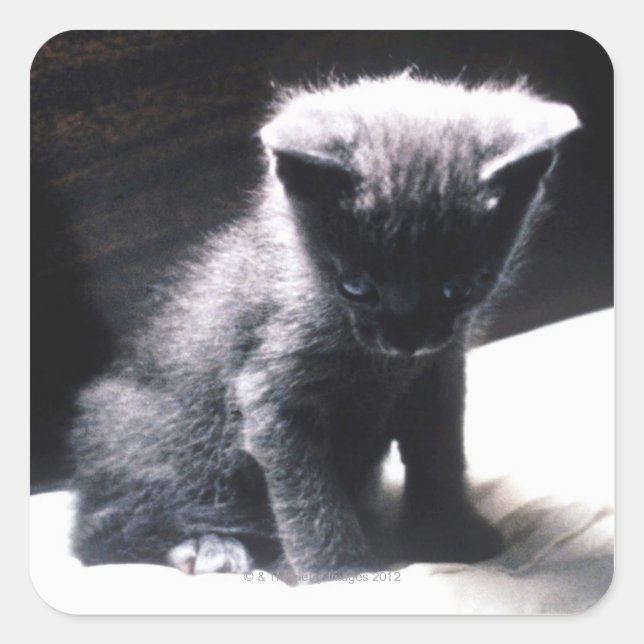 ADESIVO QUADRADO 24117556 (Frente)