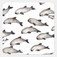 30 golfinho-porpoise vaquita