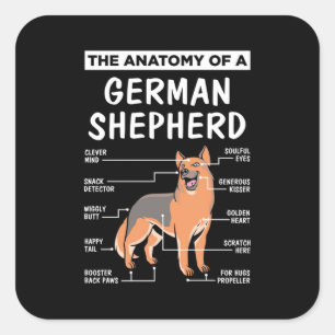 Adesivo Quadrado A Anatomia De Um German shepherd