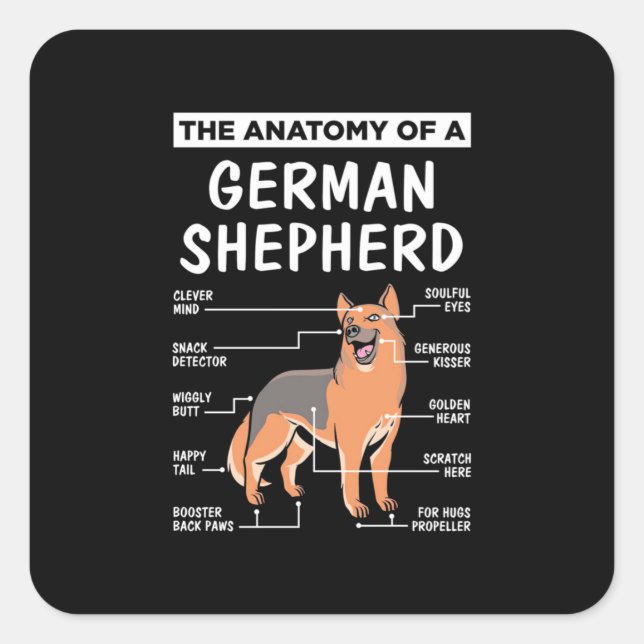 Adesivo Quadrado A Anatomia De Um German shepherd (Frente)