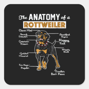Adesivo Quadrado A Anatomia De Um Rottweiler Pão-Cão Legal