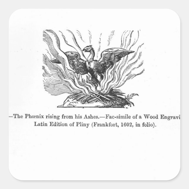 Adesivo Quadrado A ascensão Phoenix de suas cinzas (Frente)