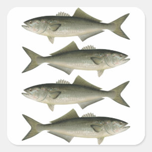 Adesivo Quadrado A Aventura da Pesca de Peixes Azuis