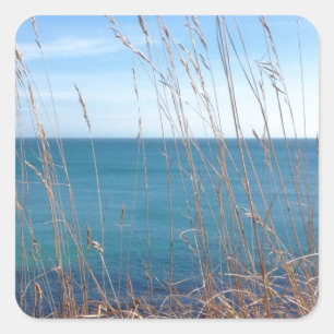 Adesivo Quadrado A bela Grama e Mar