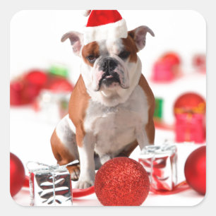 Adesivo Quadrado A caixa de presente do Natal do buldogue Ornaments