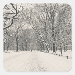 Adesivo Quadrado A caminhada do poeta - inverno do Central Park