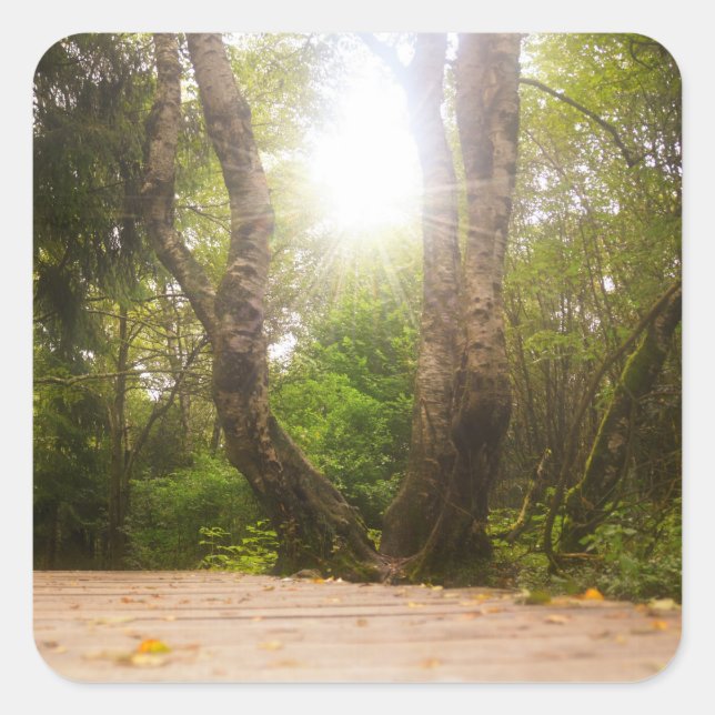 Adesivo Quadrado A caminho... (Frente)