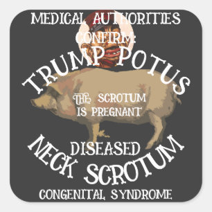 ADESIVO QUADRADO A ESCÓRIA DO PESCOÇO DA TRUMP CONFIRMADA ESTÁ GRÁV