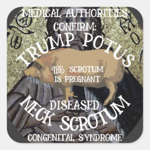 ADESIVO QUADRADO A ESCÓRIA DO PESCOÇO DA TRUMP CONFIRMADA ESTÁ GRÁV