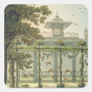 Adesivo Quadrado A faisão, gravada por Joseph Constantine Sta