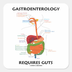 Adesivo Quadrado A gastroenterologia exige a entranhas (o sistema