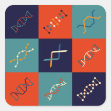 A genética de DNA retrorativa estabelece padrões d
