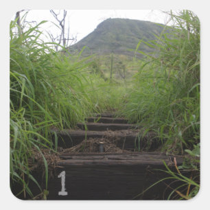 Adesivo Quadrado A primeira etapa convida caminhantes acima da