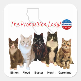 Adesivo Quadrado A Proposição Lady Sticker - Com Gatinhos!