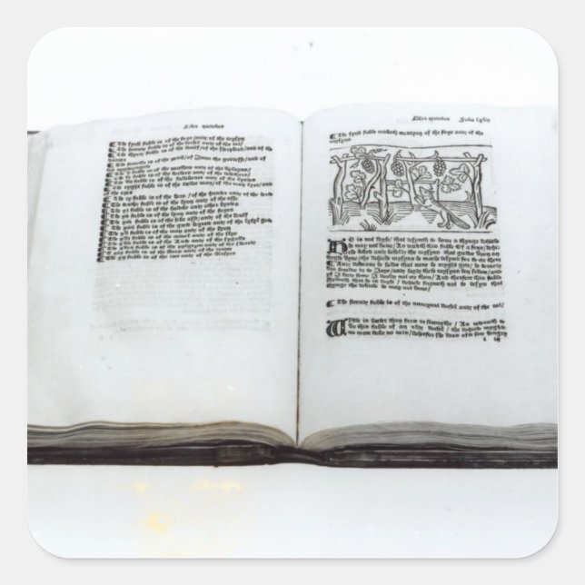 Adesivo Quadrado A Raposa e as Uvas (Frente)