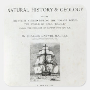 Adesivo Quadrado A viagem do lebreiro