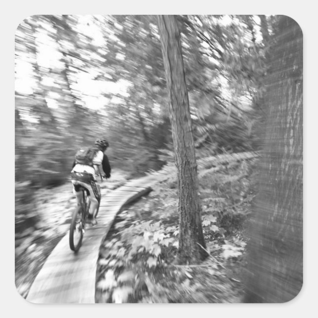 Adesivo Quadrado Aaron Rodgers pedalando em Stairway até (Frente)