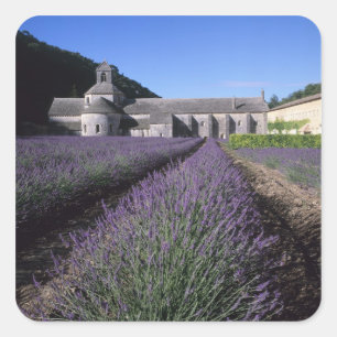 Adesivo Quadrado Abadia de Senanque, Gordes, Vaucluse, Provença,