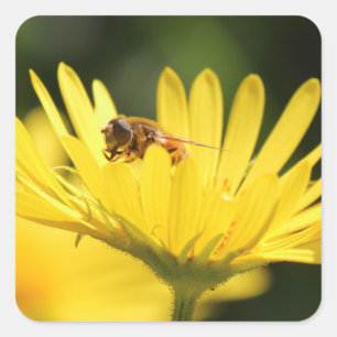 Adesivo Quadrado Abelha Ocupada