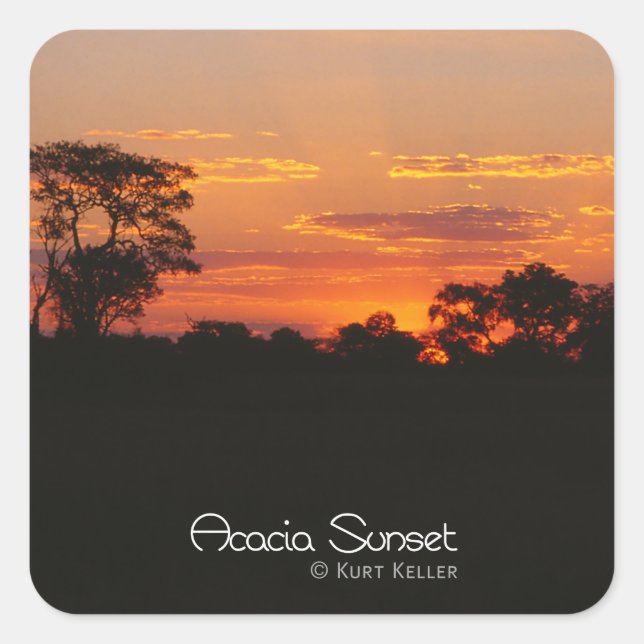 Adesivo Quadrado Acacia Sunset (Frente)