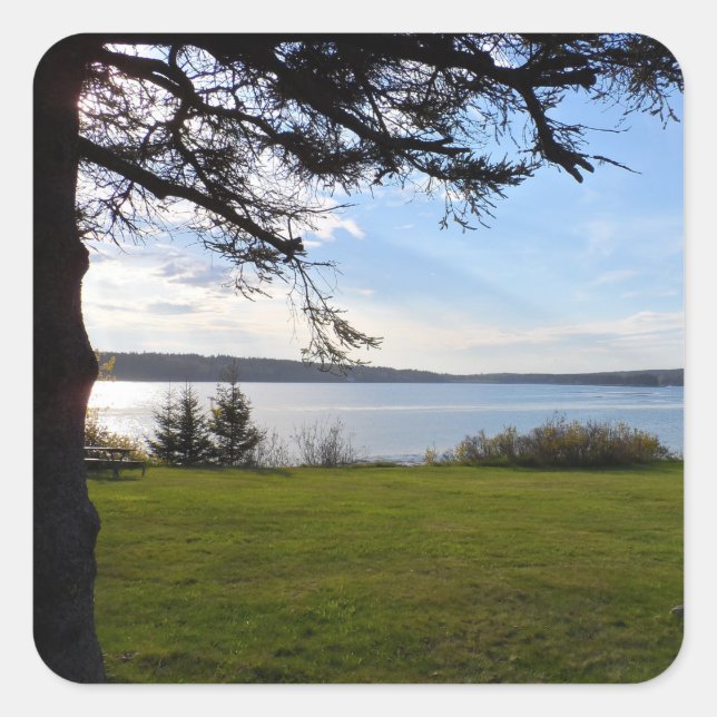 Adesivo Quadrado Acadia National Park, Maine (Frente)