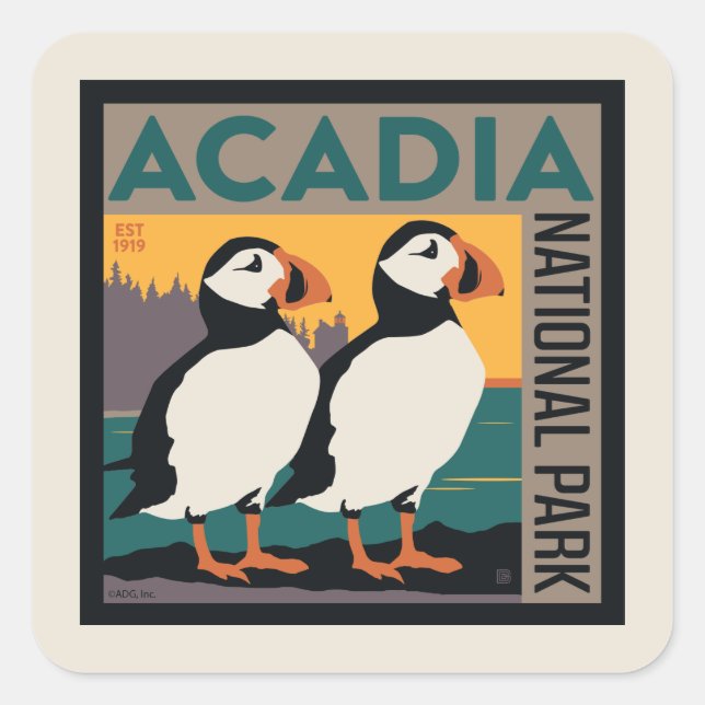 Adesivo Quadrado Acadia National Park, Maine | Puffins (Frente)
