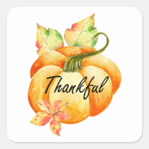 Adesivo Quadrado Ação de Graças de Pumpkin com Aquarela Agradável
