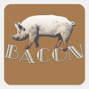 Adesivo Quadrado Acrobat BACON Pig