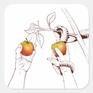 Adesivo Quadrado Adam e Eve