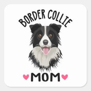 Adesivo Quadrado Adorável Cachorrinho Amante Border Collie Preto Br