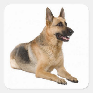 Adesivo Quadrado Adoro German shepherd Puppy Dog Stickers