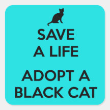 Adotar Um Gato Negro