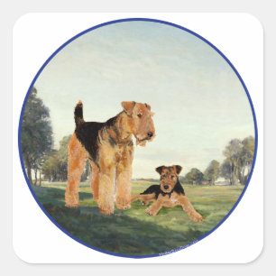 Adesivo Quadrado Adultos e Pup