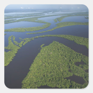 Adesivo Quadrado Aérea do Arquipélago de Anavilhanas, Alagada