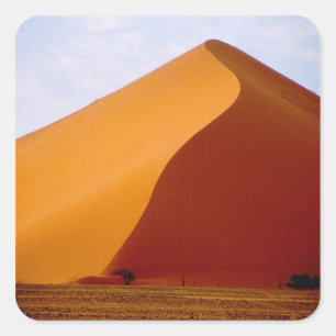 Adesivo Quadrado África, Namíbia, Parque Nacional Naukluft, 2