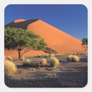 Adesivo Quadrado África, Namíbia, Parque Namib-Naukluff, Sossosvl