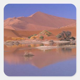Adesivo Quadrado África, Namíbia. Parque Namib-Naukluft.2