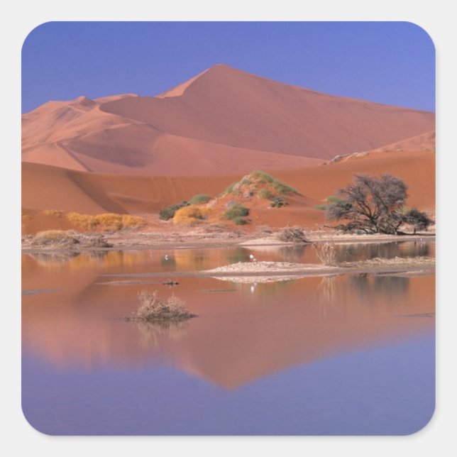 Adesivo Quadrado África, Namíbia. Parque Namib-Naukluft. 2 (Frente)