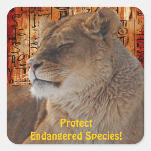 Adesivo Quadrado África Selvagem Amantes de Animais Grandes Cinco