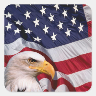 Adesivo Quadrado Águia Balda com Bandeira Americana