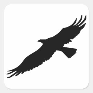 Adesivo Quadrado Águia Pop de Arte Preta e Branca