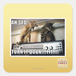 Adesivo Quadrado Ah volta do Sed ele para baixo!!