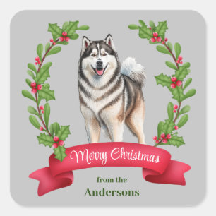 Adesivo Quadrado Alaskan Malamute Dog Holly Banner Natal