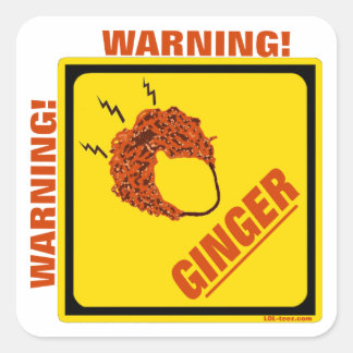 Adesivo Quadrado Alerta Ginger!