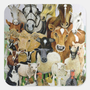 Adesivo Quadrado Allsorts animal